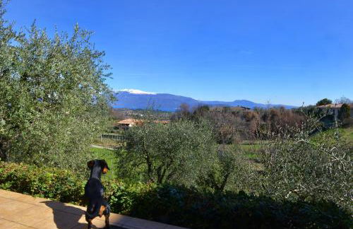 Antiche Mura Casa Vacanze - Foto 49