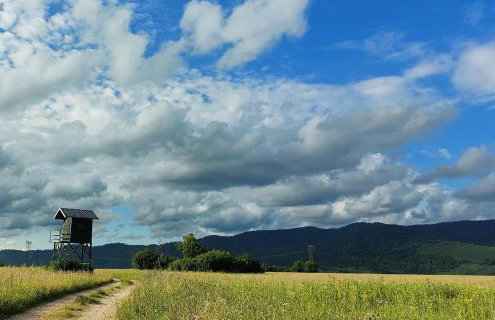 Apartman Crljenko - Foto 11