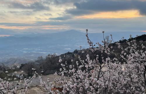 Apartamentos El Cabo - Photo 20