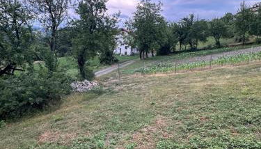 Casetta Pierluigi - Foto 4, Garden