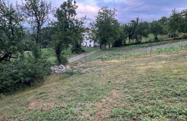 Casetta Pierluigi - Foto 4