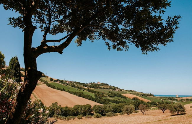 Villa Millefiori - Villa Millefiori - Photo 6