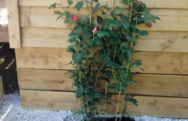 Le chalet douillet - Foto 19