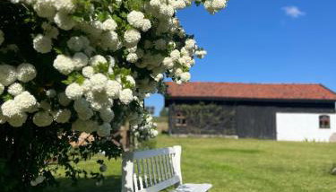 Oaza Marcinkowska - Foto 3, Garden