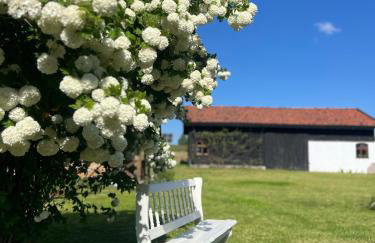 Oaza Marcinkowska - Foto 3