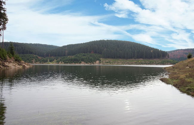 Holiday Stay With Terrace - Foto 12