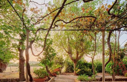 Sa Sinia - Finca en el corazón de la Tramuntana - Foto 44