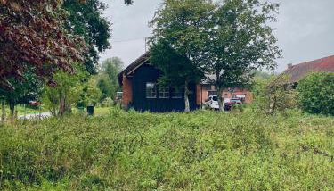 Dębinówka - Foto 2