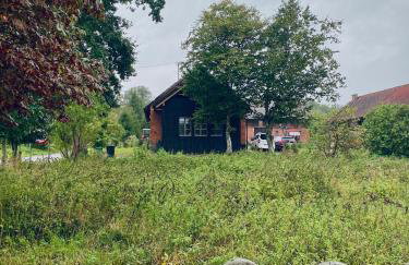 Dębinówka - Foto 2