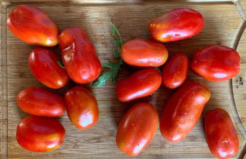 Toskania Kociewska - Photo 32