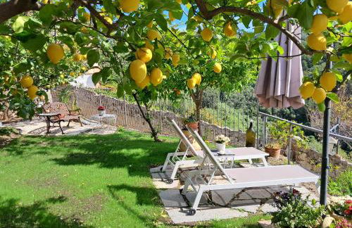 Florinda Lemon's Suite - Foto 9