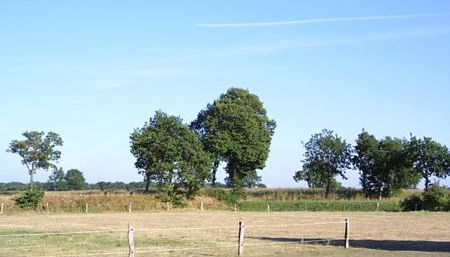 Ferienwohnungen im Haus zur Schmiede - Foto 3