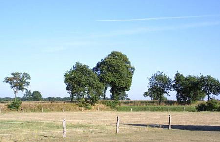 Ferienwohnungen im Haus zur Schmiede - Foto 3