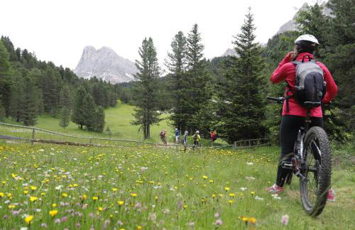 Residence Alpenrose - Foto 57