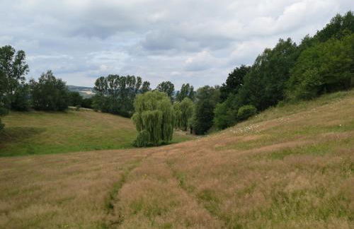 Schrauts Unwesen - Photo 9