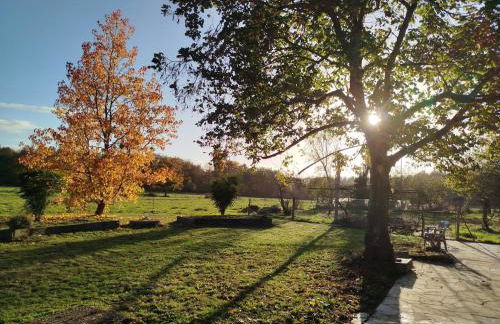 Les Petites Écuries - Photo 12