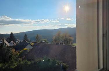 Schwarzwaldblick Rothaus - Foto 31