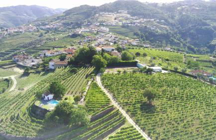 Quinta da Cumieira - Foto 20