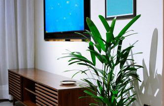 Apartamento completo e acolhedor, Santos - Foto 51