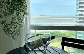 (1001) Vista Mar Perto das Praias - Foto 5