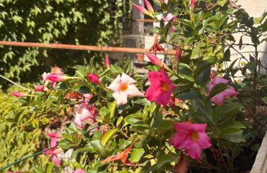 B&b Carducci - Foto 33