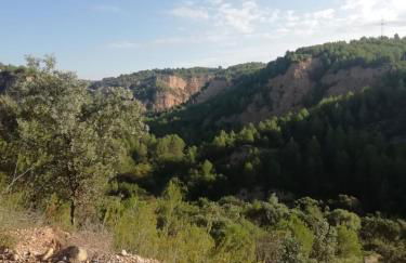 L'OLIVERA Casa Rural - Foto 35