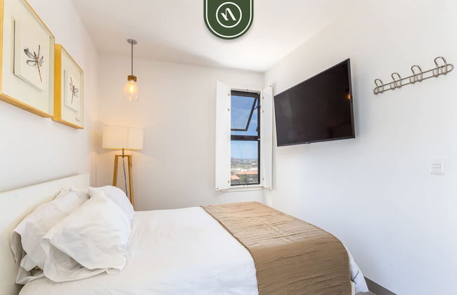 Camino del Mar 731 in Cabo San Lucas BCS - Foto 12