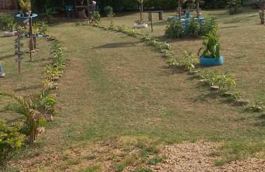 chaler Sao Jorge - Foto 41