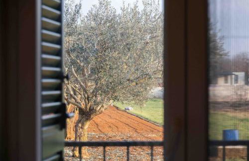 Zadar, Booking Zaton Villa Martinova holiday house with swimming pool - Photo 14