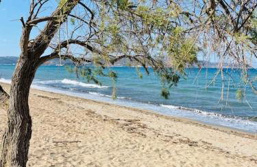 Maison Théia, entre mer et montagne Samonas - Foto 49