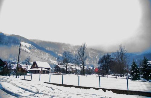 Villa Bjelolasica - Foto 54