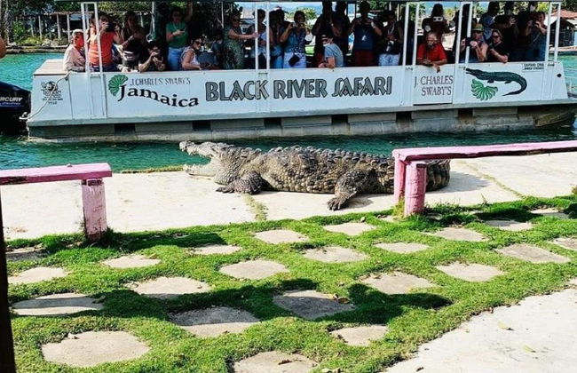 Chukka Appleton Estate, Black River Safari y tirolesa sobre YS Falls - Negril - Foto 6