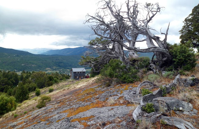 Un Vistón Modern Mountain Home - Foto 37