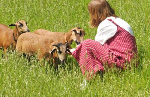 Quinta da Tapada - Foto 33