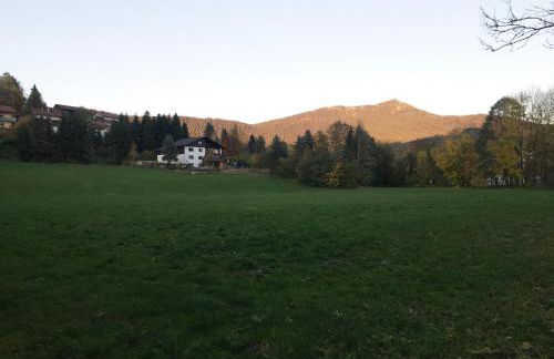 Ferienwohnung Traummichel - Foto 19