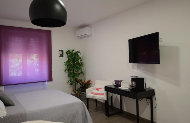 Terry's House - Photo 14