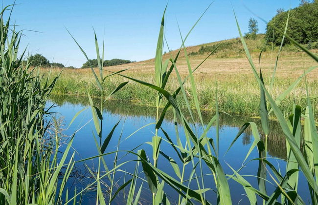 6 Person Holiday Home in Braedstrup-by Traum - Foto 36