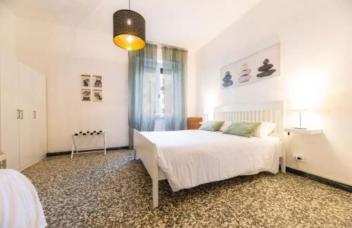 Windrose The Cat - Foto 13