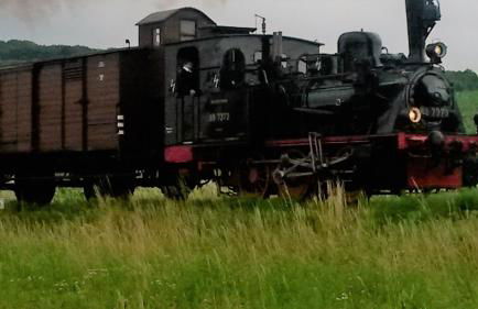 Ferienhaus Zur kleinen Kneipe - Foto 15