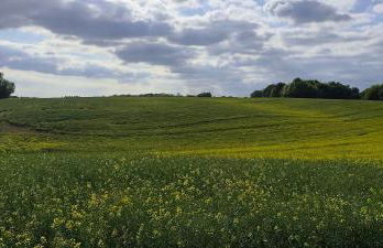 Moderne Doppelhaushälfte mit Süd-West-Terrasse - Foto 33