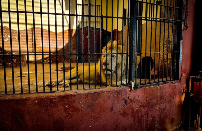 Remarkable 2-bed Apartment in Cairo Nasr City - Foto 42