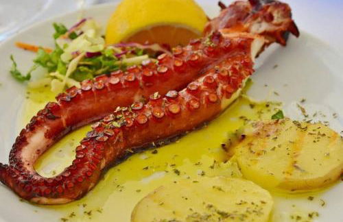 Gli Oleandri di Procchio - Foto 8