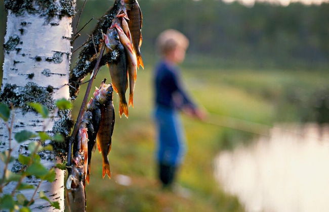 Fjällfrid Stugor - Photo 44