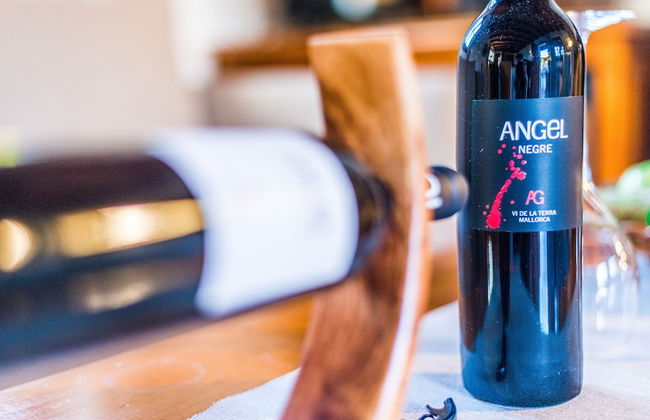 Agroturismo Ses Illes - Photo 12