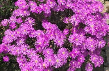 Residenza San Matteo - Foto 23