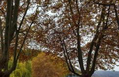 Ferienwohnung Am Geysirzentrum - Foto 19