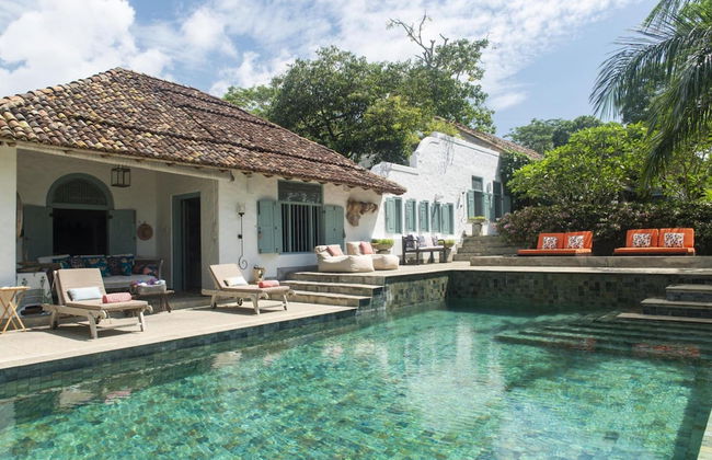 08 Acre Private Tea Estate Close To Galle - Photo 2