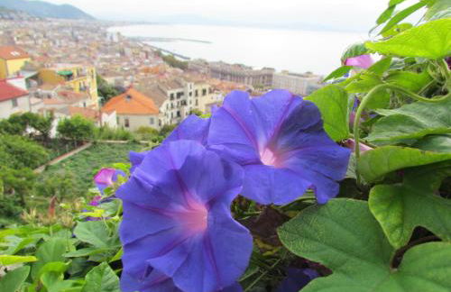 Al Nove e TreQuarti - Photo 16