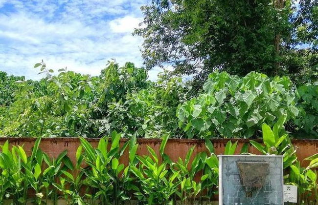 Alanta Villa - Photo 44