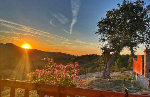 La Valle degli ulivi - Foto 76